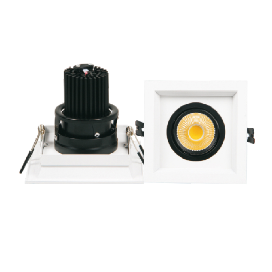 STAR-FTD100A2-10W